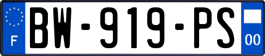 BW-919-PS