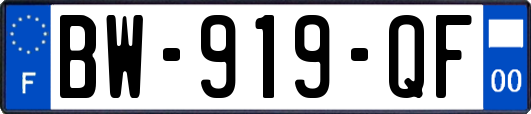 BW-919-QF