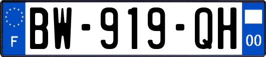 BW-919-QH