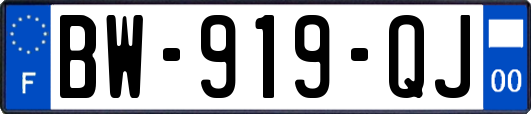 BW-919-QJ