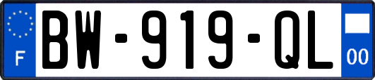 BW-919-QL