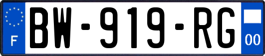 BW-919-RG