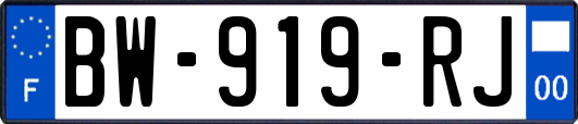BW-919-RJ