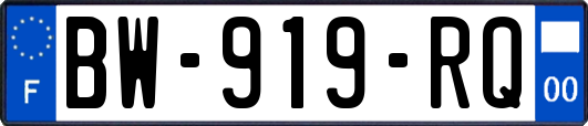 BW-919-RQ
