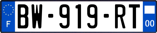 BW-919-RT