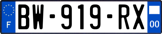BW-919-RX