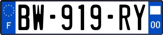 BW-919-RY