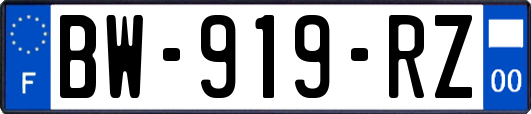 BW-919-RZ