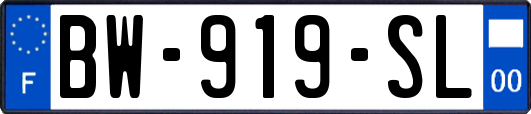 BW-919-SL