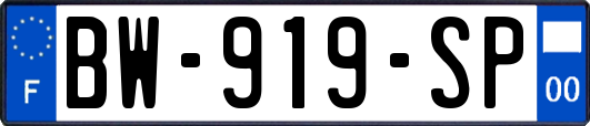 BW-919-SP