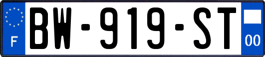 BW-919-ST