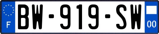 BW-919-SW