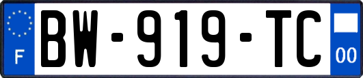 BW-919-TC