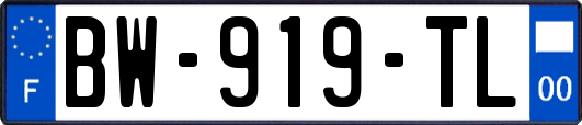 BW-919-TL