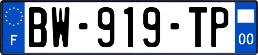 BW-919-TP