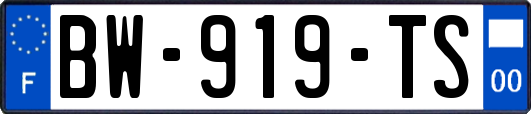 BW-919-TS