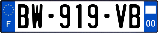 BW-919-VB