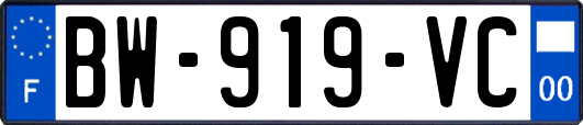 BW-919-VC