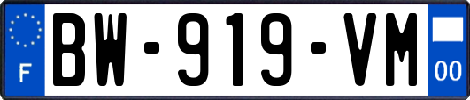 BW-919-VM