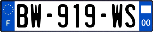 BW-919-WS
