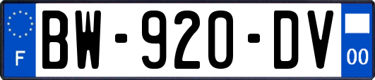 BW-920-DV