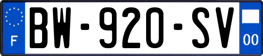 BW-920-SV