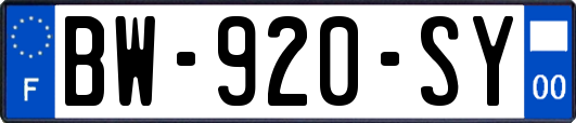 BW-920-SY