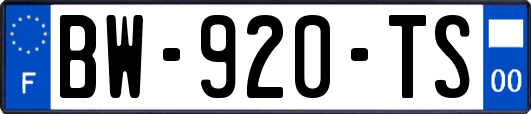 BW-920-TS
