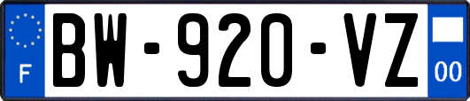 BW-920-VZ