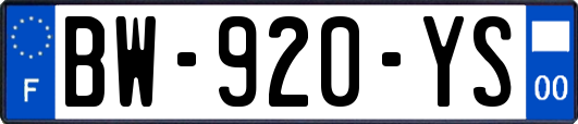 BW-920-YS