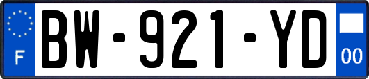 BW-921-YD