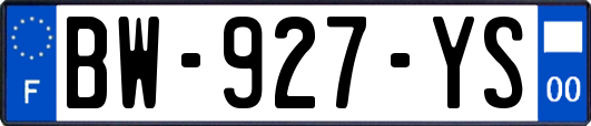 BW-927-YS