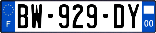 BW-929-DY