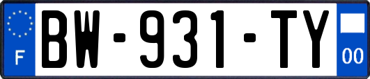 BW-931-TY