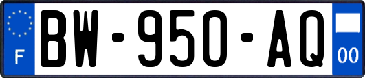 BW-950-AQ