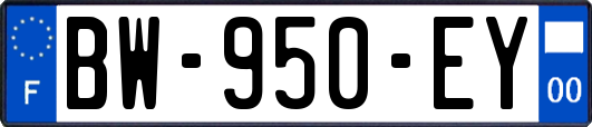 BW-950-EY