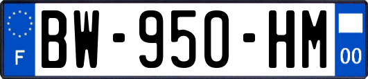 BW-950-HM