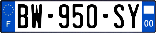 BW-950-SY