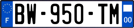 BW-950-TM