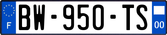 BW-950-TS