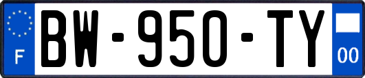 BW-950-TY