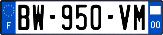 BW-950-VM
