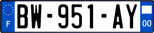 BW-951-AY