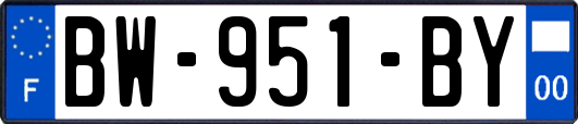 BW-951-BY