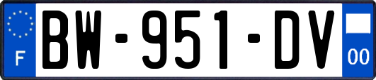 BW-951-DV