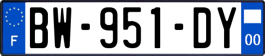 BW-951-DY