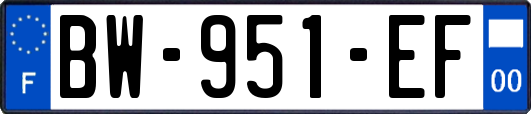 BW-951-EF