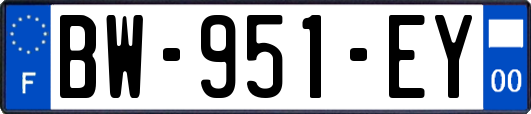 BW-951-EY