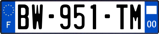 BW-951-TM