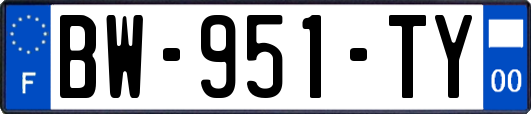 BW-951-TY